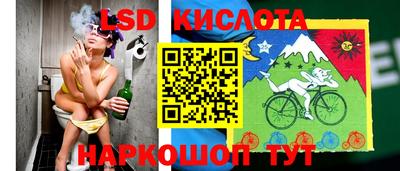 молекула духа Пугачёв