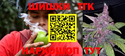 молекула духа Пугачёв